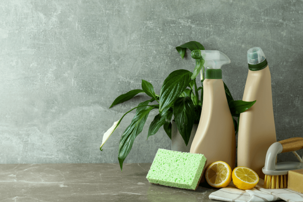 a group of cleaning products next to a plant