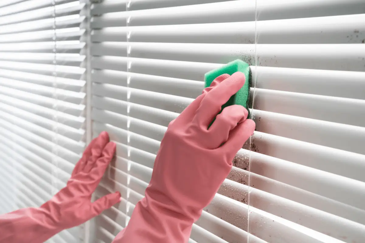 Professional blind cleaning service by Gritz Cleaning Services in Austin, TX. Deep cleaning for spotless window blinds.