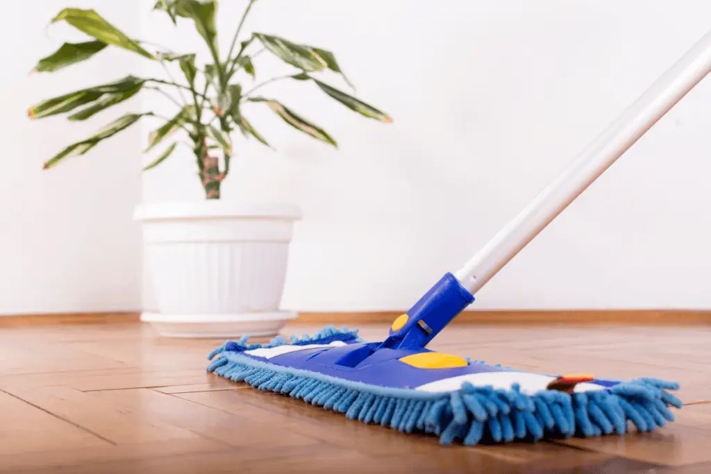 a mop on a wood floor
