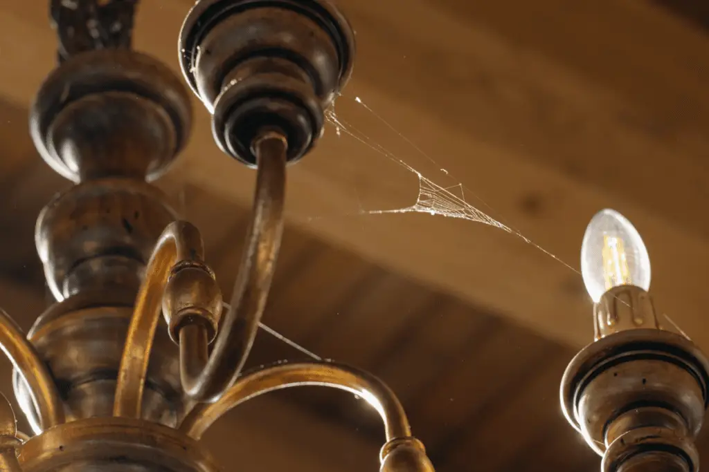Expert residential cleaning for spotless homes - Austin, TX"