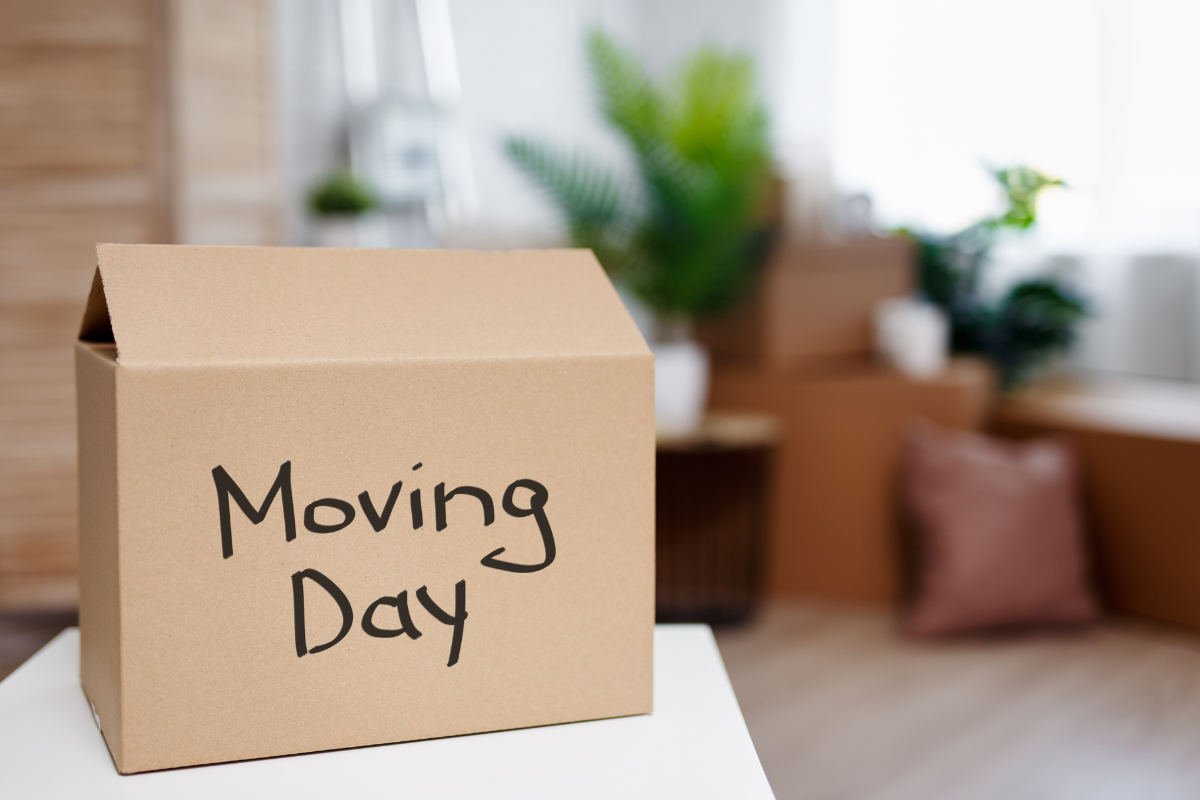 Move-out cleaning services for a spotless and refundable deposit"